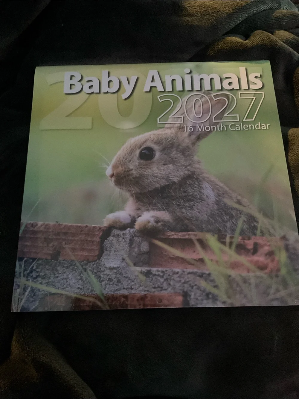 2027 Baby Animals Calendar